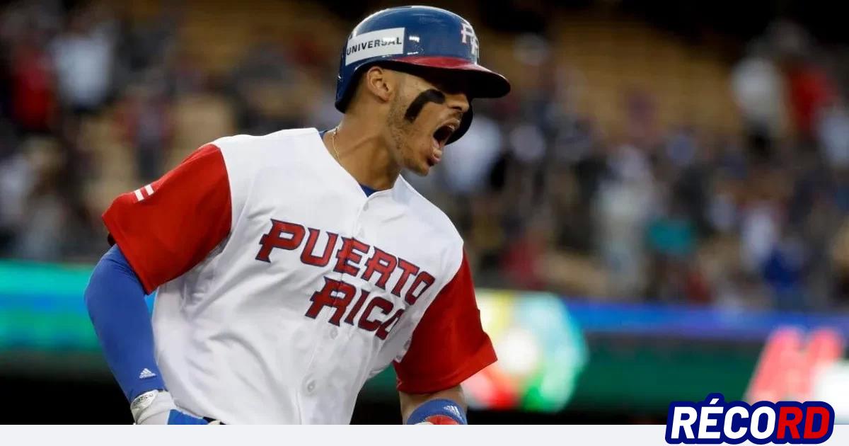 PUERTO RICO LLEGA A LA SERIE DEL CARIBE CON PELOTEROS DE VARIOS EQUIPOS -  El Minnesota de Hoy