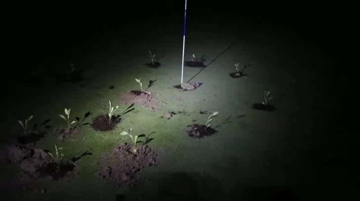 Activistas taparon hoyos de los campos de golf para protestar contra el desperdicio de agua