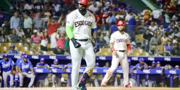 Leones del Escogido construye una casa con todas las tablas que dio a los Tigres del Licey