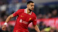 ¿Juega Cody Gakpo frente al PSG?