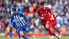 ¿Cómo está el historial entre el Brighton vs Liverpool?