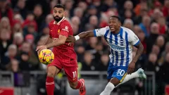 Brighton vs Liverpool: Datos y estadísticas a tener en cuenta