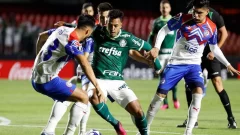 Cerro Porteño x Palmeiras: Escalações e tudo o que você precisa saber sobre o duelo pela Libertadores