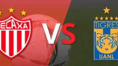 Previa Necaxa vs. Tigres: cómo llegan los equipos, horarios y análisis