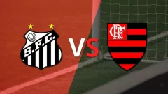 Santos FC vs Flamengo: Así llegan ambos equipos en el retorno del Brasileirao