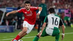 Benfica x Rio Ave hoje: horário, provável escalação e prognóstico da Primeira Liga