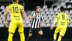 Botafogo x Mirassol: onde assistir AO VIVO, horário e prováveis escalações pelo Brasileirão