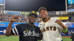 Tras la incertidumbre, figuras cubanas retoman su rumbo y se suman a la liga japonesa